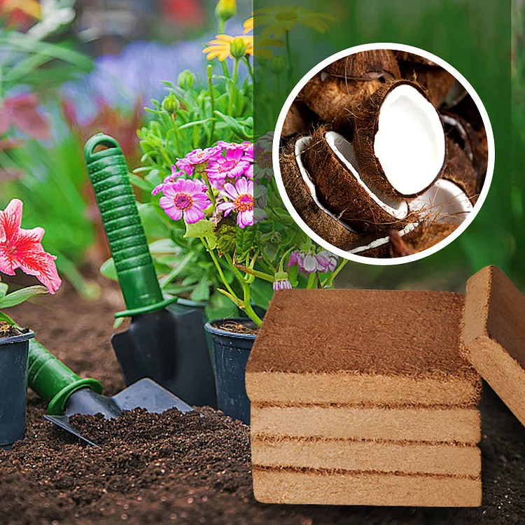 CoconutBrick® | Bio-Kokosnusskohle für Pflanzen
