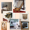 PetDoor® | 4-Wege-Hunde-Katzen-Klapptür