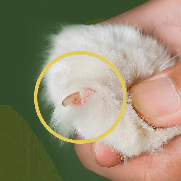 PurrfectTrim® | Nagelknipser für Haustiere