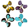 Laden Sie das Bild in den Galerie-Viewer, WindUp® | Magischer fliegender Schmetterling